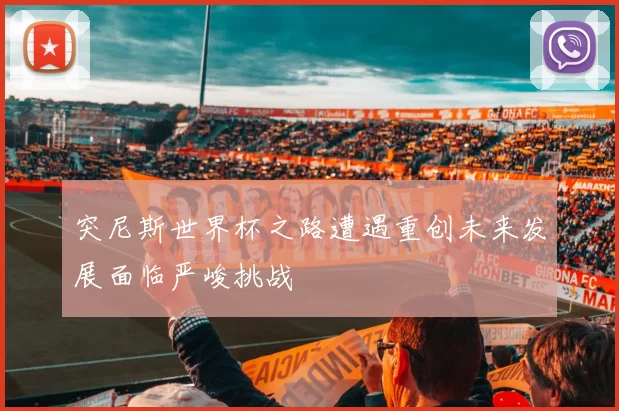 突尼斯世界杯之路遭遇重创未来发展面临严峻挑战